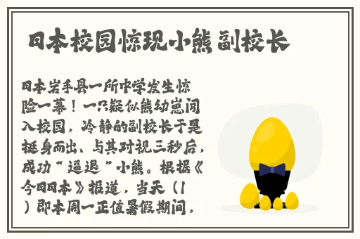 午夜精彩视频普通用户免费观看